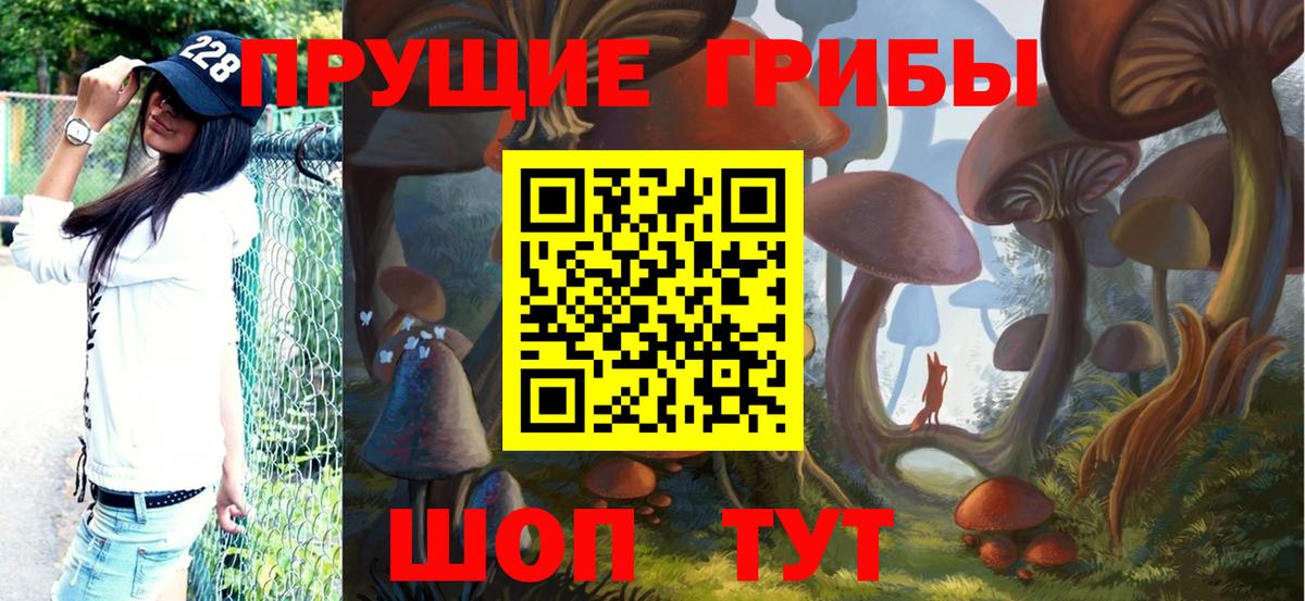 Кстово  Псилоцибиновые грибы мицелий  Псилоцибиновые грибы мухоморы  Вход с VPN 