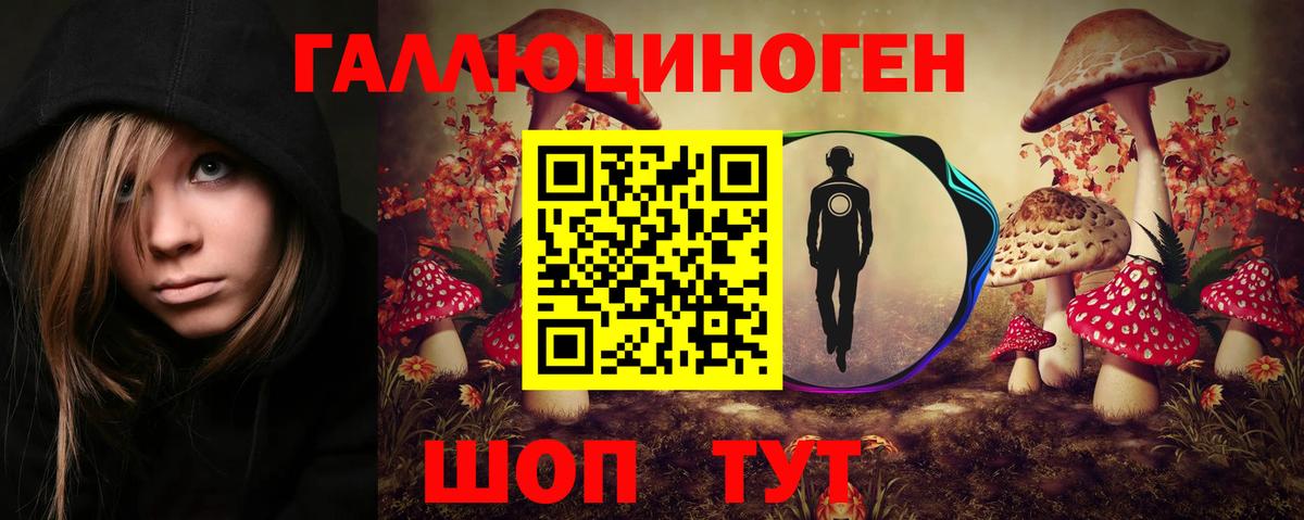 Галлюциногенные грибы Psilocybine cubensis Кстово
